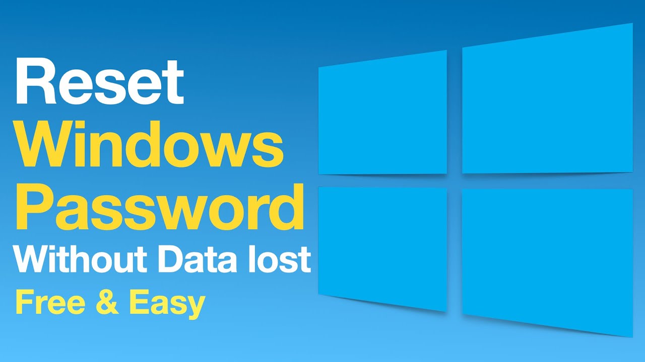 lenavi-login-a-comprehensive-guide-to-accessing-your-account